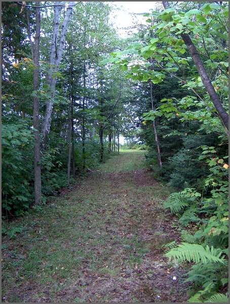 Driveway to Lot.JPG