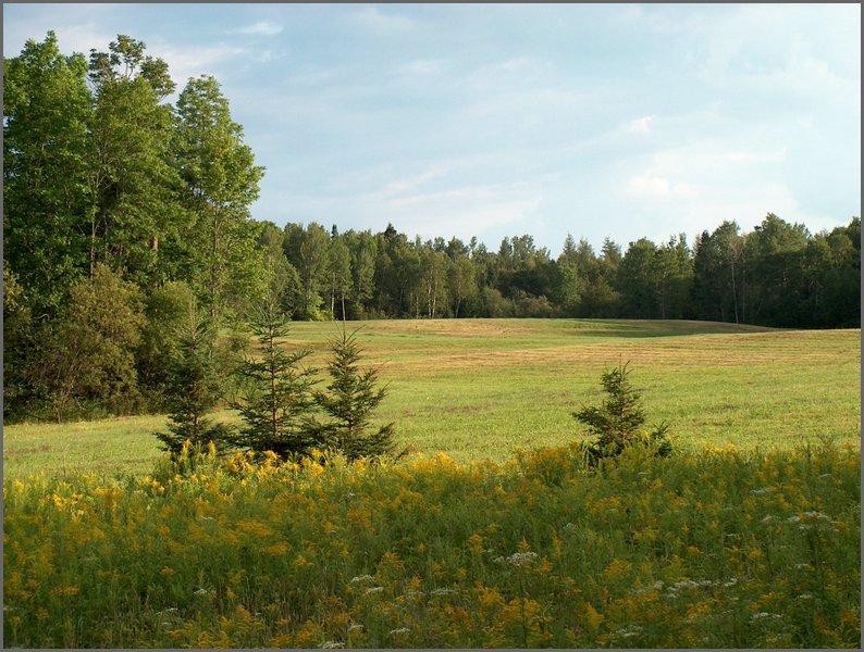 Far Field By Wolfe Lake.jpg