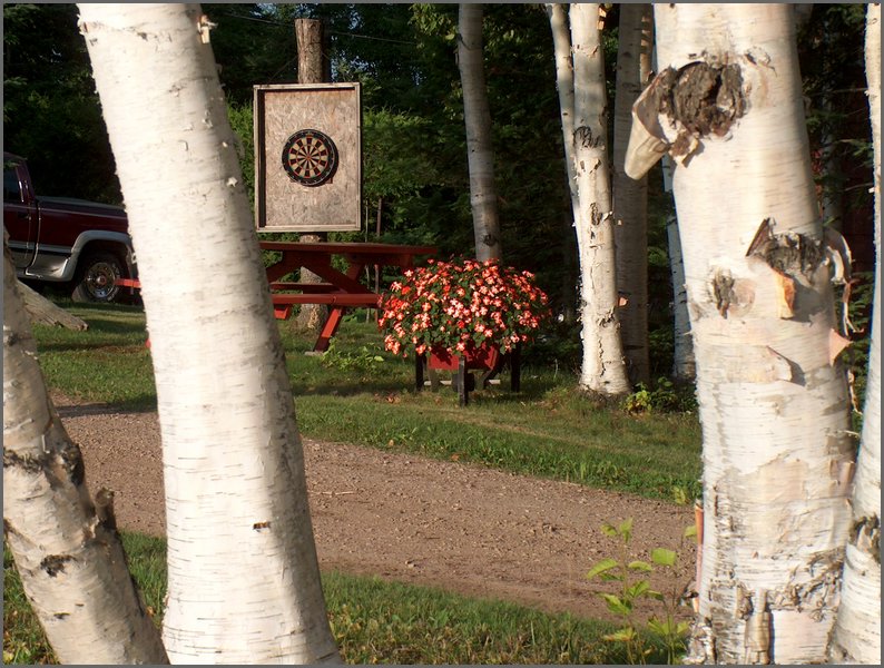 Flowers By Wolfe Lake.jpg