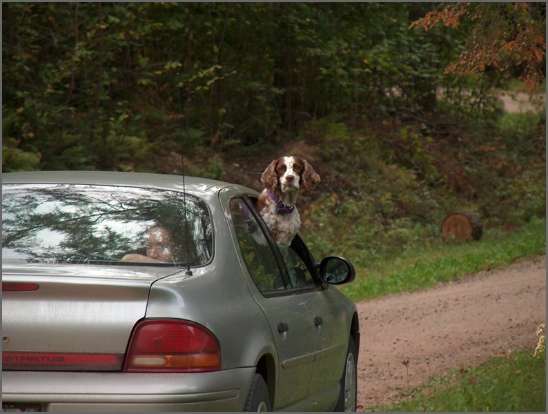 Goofy & Rosie Car Ride.JPG