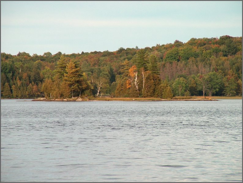 The Island On Wolfe Lake.JPG