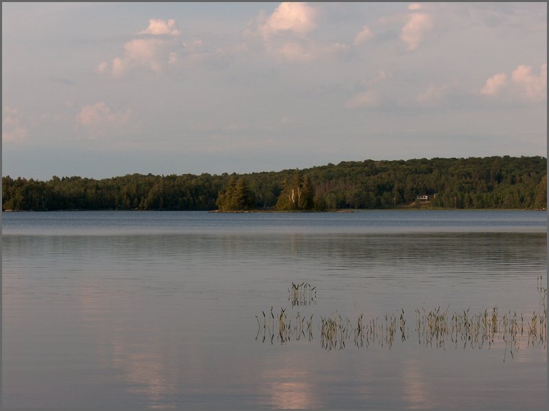 Wolfe Lake June 2004k.jpg