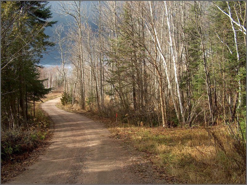 Wolfe Lake Nov 2004a.jpg