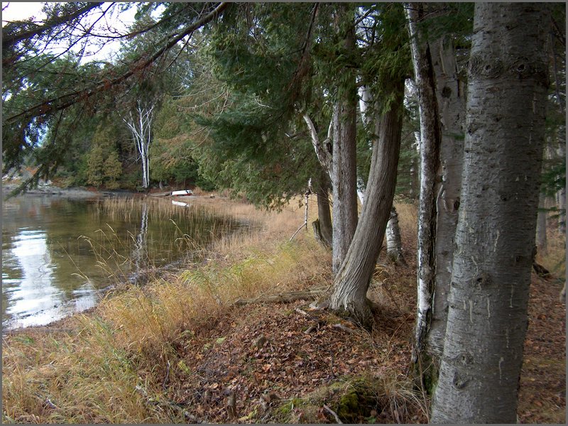 Wolfe Lake Nov 2004y.jpg