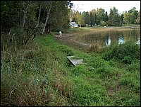 Bridge Over Creek.JPG