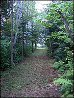 Driveway to Lot.JPG