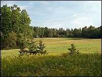 Far Field By Wolfe Lake.jpg