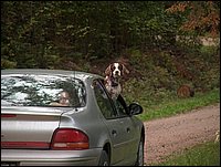 Goofy & Rosie Car Ride.JPG