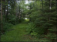 Wolfe Lake June 2004a.jpg