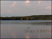 Wolfe Lake June 2004k.jpg