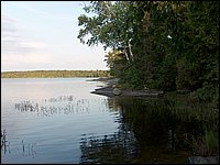 Wolfe Lake June 2004t.jpg