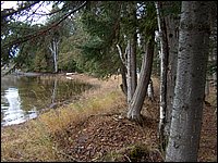 Wolfe Lake Nov 2004y.jpg