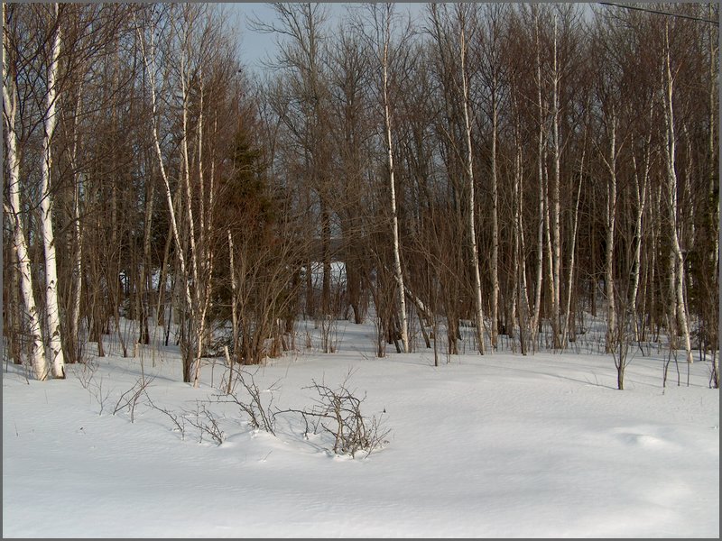 January 2005 08.jpg