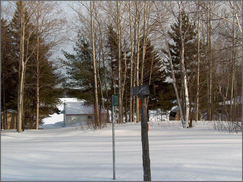 January 2005 10.jpg