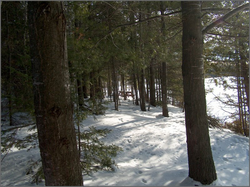 January 2005 35.jpg